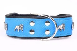 Yogipet - Collier Super Bulldog Cuir Pour Chien - Bleu
