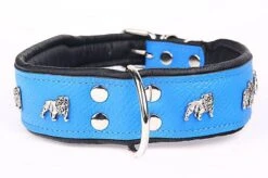 Yogipet - Collier Super Bulldog Cuir Pour Chien - Bleu -Magasin De Fournitures Pour Chiens De Compagnie 41919