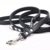 Yogipet - Laisse Ajustable 2/220cm Pour Chien - Noir -Magasin De Fournitures Pour Chiens De Compagnie 41936 1