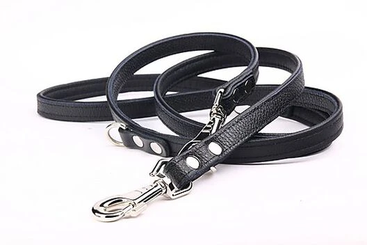 Yogipet - Laisse Ajustable 2/220cm Pour Chien - Noir 3 Yogipet - Laisse Ajustable 2/220cm Pour Chien - Noir