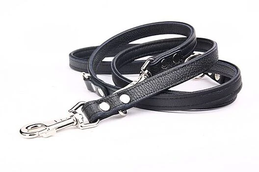 Yogipet - Laisse Ajustable 2/220cm Pour Chien - Noir 5 Yogipet - Laisse Ajustable 2/220cm Pour Chien - Noir – Image 3