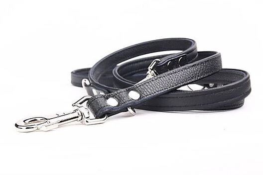 Yogipet - Laisse Ajustable 2/220cm Pour Chien - Noir 6 Yogipet - Laisse Ajustable 2/220cm Pour Chien - Noir – Image 4