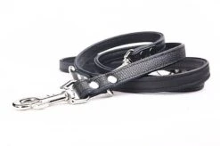 Yogipet - Laisse Ajustable 1,6/220cm Pour Chien - Noir -Magasin De Fournitures Pour Chiens De Compagnie 41938