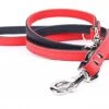 Yogipet - Laisse Ajustable 1,6/220cm Pour Chien - Rouge -Magasin De Fournitures Pour Chiens De Compagnie 41945