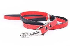 Yogipet - Laisse Ajustable 2/220cm Pour Chien - Rouge -Magasin De Fournitures Pour Chiens De Compagnie 41946 1