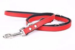 Yogipet - Laisse Ajustable 2/220cm Pour Chien - Rouge -Magasin De Fournitures Pour Chiens De Compagnie 41947 1