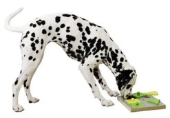 Kerbl - Jeu De Reflexion Chien Cake 8 Kerbl - Jeu De Reflexion Chien Cake -Magasin De Fournitures Pour Chiens De Compagnie 43060