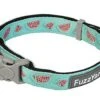 FuzzYard - Collier Summer Punch Pour Chien - L -Magasin De Fournitures Pour Chiens De Compagnie 43235