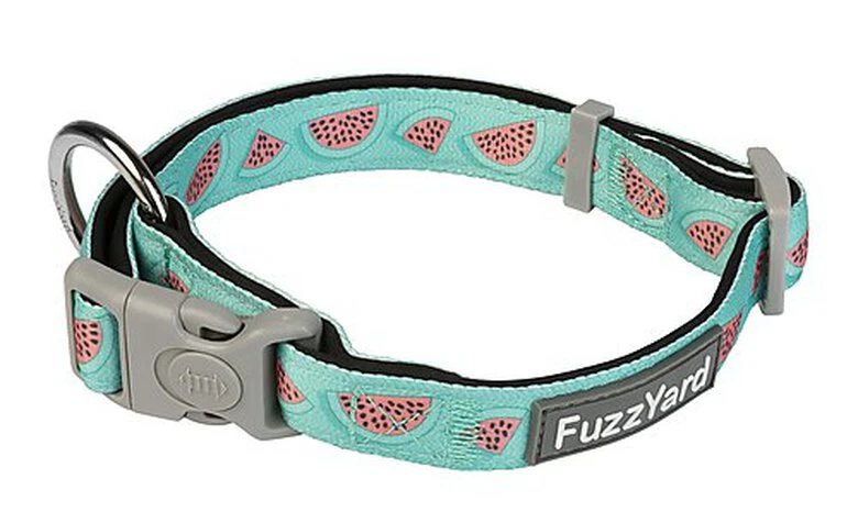 FuzzYard - Collier Summer Punch Pour Chien - L 3 FuzzYard - Collier Summer Punch Pour Chien - L