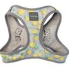 FuzzYard - Harnais Piña Colada Pour Chien - M -Magasin De Fournitures Pour Chiens De Compagnie 43244