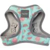 FuzzYard - Harnais Summer Punch Pour Chien - XL -Magasin De Fournitures Pour Chiens De Compagnie 43255 1