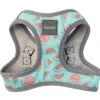FuzzYard - Harnais Summer Punch Pour Chien - L -Magasin De Fournitures Pour Chiens De Compagnie 43255