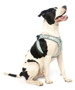 FuzzYard - Harnais Summer Punch Pour Chien - XL -Magasin De Fournitures Pour Chiens De Compagnie 43257 1