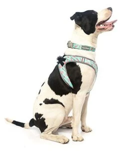 FuzzYard - Harnais Summer Punch Pour Chien - XL -Magasin De Fournitures Pour Chiens De Compagnie 43258 1