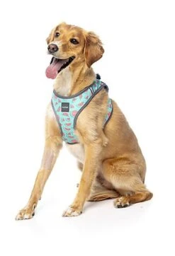 FuzzYard - Harnais Summer Punch Pour Chien - XL -Magasin De Fournitures Pour Chiens De Compagnie 43259 1