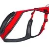 Kyflie - Harnais OTIUM Canicross De Traction Pour Chien T3 - Rouge 1 Kyflie - Harnais OTIUM Canicross De Traction Pour Chien T3 - Rouge -Magasin De Fournitures Pour Chiens De Compagnie 43408