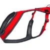 Kyflie - Harnais OTIUM Canicross De Traction Pour Chien T6 - Rouge 1 Kyflie - Harnais OTIUM Canicross De Traction Pour Chien T6 - Rouge -Magasin De Fournitures Pour Chiens De Compagnie 43408 2