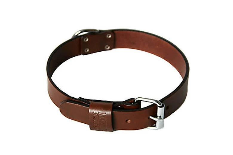 Martin Sellier - Collier Avec Bord Rond Marron Pour Chien 4 Martin Sellier - Collier Avec Bord Rond Marron Pour Chien – Image 2