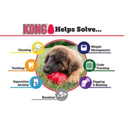 KONG - Jouet Classic En Caoutchouc Pour Chien - XL 11 KONG - Jouet Classic En Caoutchouc Pour Chien - XL -Magasin De Fournitures Pour Chiens De Compagnie 45848