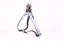 Magasin De Fournitures Pour Chiens De Compagnie -Magasin De Fournitures Pour Chiens De Compagnie 46313