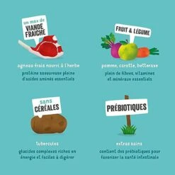 Edgard & Cooper - Croquettes à L'Agneau Pour Chien - 2,5Kg -Magasin De Fournitures Pour Chiens De Compagnie 46542