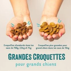Edgard & Cooper - Croquettes à L'Agneau Pour Chien - 2,5Kg -Magasin De Fournitures Pour Chiens De Compagnie 46543