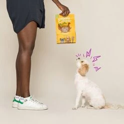 Edgard & Cooper - Croquettes BIO à La Dinde Et Poulet Pour Chien - 7Kg 11 Edgard & Cooper - Croquettes BIO à La Dinde Et Poulet Pour Chien - 7Kg -Magasin De Fournitures Pour Chiens De Compagnie 46557 1