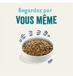 Nouvelles Arrivées -Magasin De Fournitures Pour Chiens De Compagnie 46571