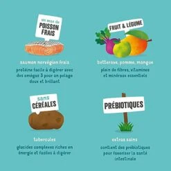 Edgard & Cooper - Croquettes Au Saumon Pour Chien - 2,5Kg -Magasin De Fournitures Pour Chiens De Compagnie 46574