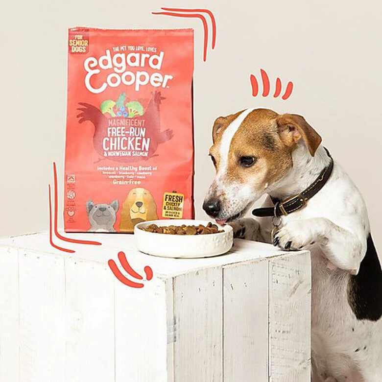 Edgard & Cooper - Croquettes Poulet Et Saumon Pour Chien Senior - 7Kg 5 Edgard & Cooper - Croquettes Poulet Et Saumon Pour Chien Senior - 7Kg – Image 3