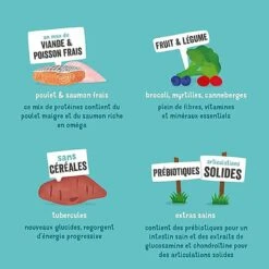 Edgard & Cooper - Croquettes Poulet Et Saumon Pour Chien Senior - 7Kg 14 Edgard & Cooper - Croquettes Poulet Et Saumon Pour Chien Senior - 7Kg -Magasin De Fournitures Pour Chiens De Compagnie 46584