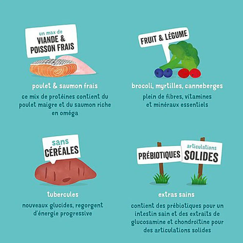 Edgard & Cooper - Croquettes Poulet Et Saumon Pour Chien Senior - 7Kg 7 Edgard & Cooper - Croquettes Poulet Et Saumon Pour Chien Senior - 7Kg – Image 5