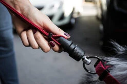 Goleygo - Laisse Plate Réglable Rouge Pour Chien - M -Magasin De Fournitures Pour Chiens De Compagnie 47724