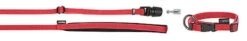 Goleygo - Ensemble Laisse Collier Et Goupille Rouge Pour Chien - S