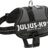 Julius-K9 - Harnais Baby 2XS De 33-45cm Pour Chien - Anthracite -Magasin De Fournitures Pour Chiens De Compagnie 47796