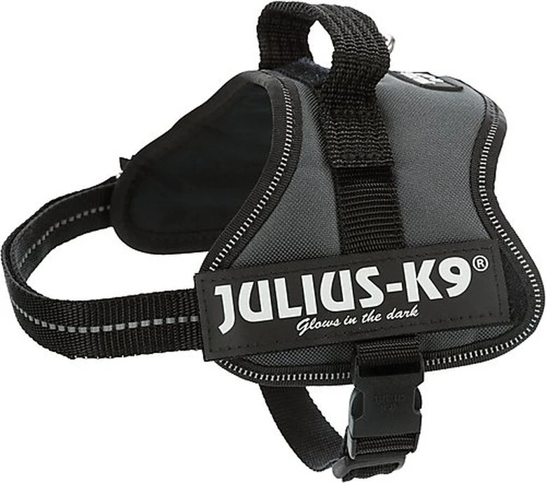 Julius K9 Julius-K9 - Harnais Mini-Mini XS De 40-53cm Pour Chien - Anthracite 3 Julius K9 Julius-K9 - Harnais Mini-Mini XS De 40-53cm Pour Chien - Anthracite