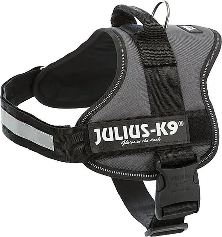 Julius K9 Julius-K9 - Harnais M De 58-76cm Pour Chien - Anthracite 3 Julius K9 Julius-K9 - Harnais M De 58-76cm Pour Chien - Anthracite