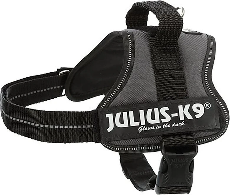 Julius K9 Julius-K9 - Harnais Mini De 51-67cm Pour Chien - Anthracite 3 Julius K9 Julius-K9 - Harnais Mini De 51-67cm Pour Chien - Anthracite