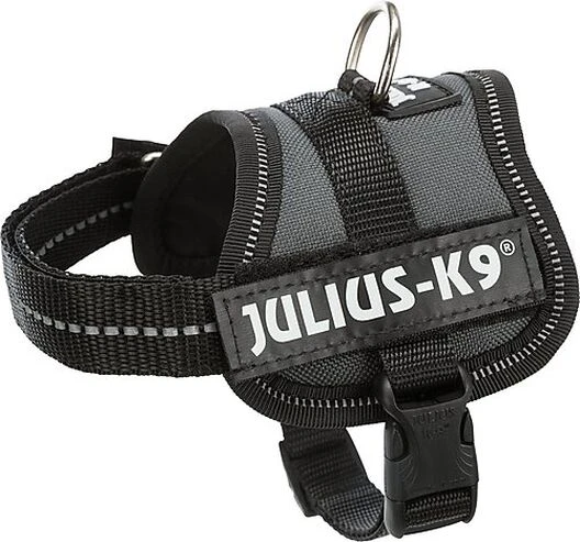Julius K9 Julius-K9 - Harnais Baby 1 XS De 29-36cm Pour Chien - Anthracite 3 Julius K9 Julius-K9 - Harnais Baby 1 XS De 29-36cm Pour Chien - Anthracite