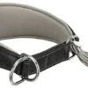 Trixie - Collier Confort Lévriers En Cuir Noir XS Pour Chien - 33/42cm -Magasin De Fournitures Pour Chiens De Compagnie 47805