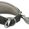 Trixie - Collier Confort Lévriers En Cuir Noir XS Pour Chien - 21/26cm -Magasin De Fournitures Pour Chiens De Compagnie 47806