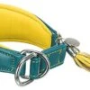 Trixie - Collier Confort Lévriers En Cuir Bleu Et Jaune XS Pour Chien - 24/31cm -Magasin De Fournitures Pour Chiens De Compagnie 47810