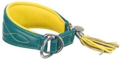 Trixie - Collier Confort Lévriers En Cuir Bleu Et Jaune XS Pour Chien - 24/31cm