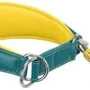 Trixie - Collier Confort Lévriers En Cuir Bleu Et Jaune XS Pour Chien - 21/26cm -Magasin De Fournitures Pour Chiens De Compagnie 47811