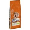 Dog Chow - Croquettes Mature Au Poulet Pour Chien - 14Kg 1 Dog Chow - Croquettes Mature Au Poulet Pour Chien - 14Kg -Magasin De Fournitures Pour Chiens De Compagnie 52014