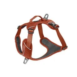 Kyflie - Harnais Momentum Cuivre Pour Chien - XL