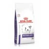 Royal Canin - Croquettes Veterinary Neutered Small Dog Adult Pour Chien - 3,5Kg -Magasin De Fournitures Pour Chiens De Compagnie 53604