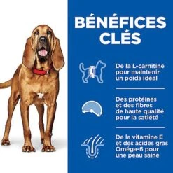 Hill's Science Plan - Croquettes Light Mature 7+ Poulet Pour Chien - 12Kg -Magasin De Fournitures Pour Chiens De Compagnie 53860