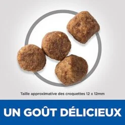 Hill's Science Plan - Croquettes Light Mature 7+ Poulet Pour Chien - 12Kg -Magasin De Fournitures Pour Chiens De Compagnie 53861