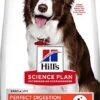 Hill's Science Plan - Croquettes Adulte Perfect Digestion Au Poulet Pour Chien Moyen - 12Kg 2 Hill's Science Plan - Croquettes Adulte Perfect Digestion Au Poulet Pour Chien Moyen - 12Kg -Magasin De Fournitures Pour Chiens De Compagnie 63646
